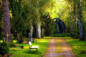 Friedhof mit einem Weg und einer Bank