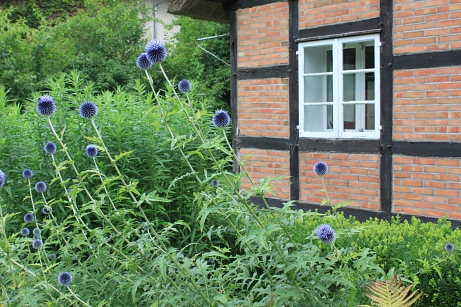 Heimathaus Fintel, blühender Garten im Sommer