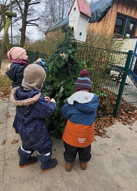 Kindertagesstätte Bärenhöhle Vorweihnachtszeit © Samtgemeinde Fintel