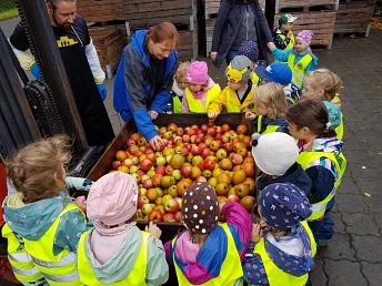 Kindertagesstätte Landkinder Apfelernte © Samtgemeinde Fintel