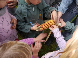 Kindertagesstätte Zwergenhöhle Waldtage 2024 © Samtgemeinde Fintel