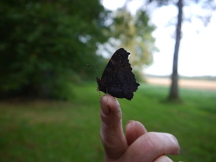 Kindertagesstätte Zwergenhöhle Waldtage 2024 © Samtgemeinde Fintel